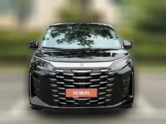 2025 BYD Xia 2025 DM-i 1.5T AT 180km excellence #2