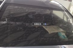 Rear Windshield