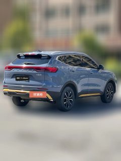 2023 Haval H6 2023 China tideEdition 1.5T ATUrbanEdition #7