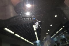 Rear Windshield