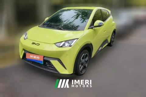 2024 BYD Seagull 2024 Glory 405KM flyEdition