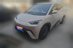 2024 BYD Seagull 2025 305km vitalityEdition #1
