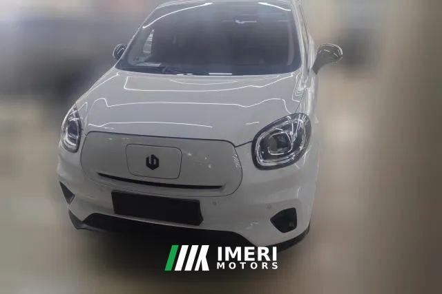 2023 Leapmotor T03 2023 403Smart