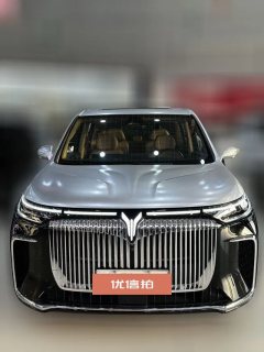 2025 Voyah Dreamer 2025 1.5T AT PHEV 4WDNoble KunpengEdition #2