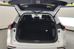 2022 Haval H6 2021 1.5T AT China tideChampion #4