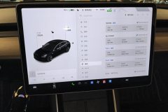 2020 Tesla Model 3 2020 StandardBattery lifeRWDUpgradeEdition #14