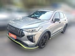 2021 Haval Chitu 2021 1.5T AT ProvokingEdition Platinumrabbit #1