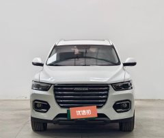 2019 Haval H6 2019 1.5T AT GDITChampion #2