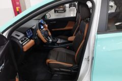 2021 BYD e2 2021 Luxury #13