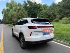 2023 Haval H6 2022 No.3generation 1.5T AT 2WDPro #9