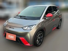 2024 BYD Seagull 2023 freeEdition #1