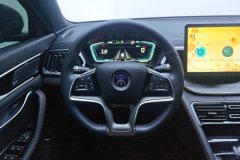 2021 BYD Song Plus 2020 1.5T AT Flagship #15