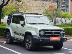 2022 Tank 300 2021 CityEdition 2.0T AT Very #7