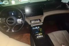 2023 BYD Dolphin 2023 420km Fashion #12