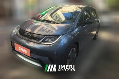 2024 BYD Dolphin 2025 420km Fashion