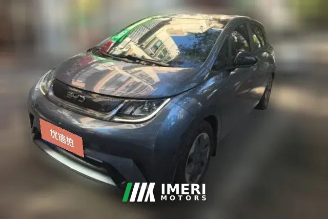 2024 BYD Dolphin 2025 420km Fashion