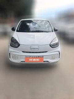 2023 Roewe Clever 2022 311kmVitality BoboEdition #2