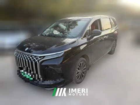 2024 Dongfeng Fengxing Dongfeng Fengxing Xinghai V9 2024 1.5TD 200km middleChina KnotSeries Luxury