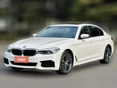 2020 BMW 5 Series 2020 2.0T AT 530LiLeadingMSport Pkg #1