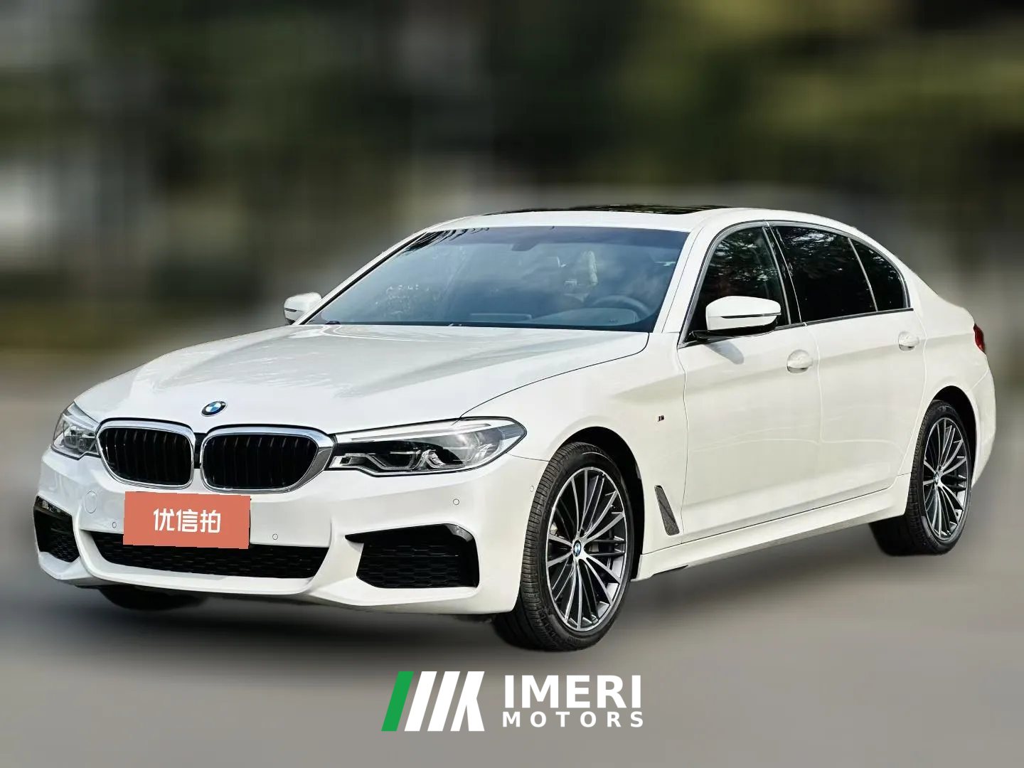 2020 BMW 5 Series 2020 2.0T AT 530LiLeadingMSport Pkg