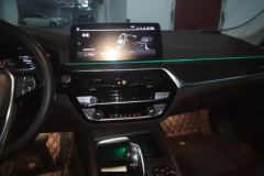 2021 BMW 5 Series 2021 2.0T AT 530LiLeadingLuxury Pkg #13