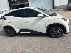 2024 BYD Seagull 2024 Glory 305KM freeEdition #4