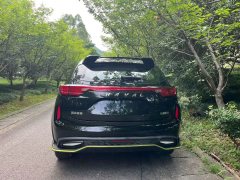 2021 Haval Chitu 2021 1.5T AT ProvokingEdition golden rabbit #5