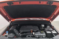 2024 Tank 300 2024 2.0T AT challenger #7