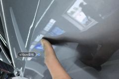 მარცხენა უკანა კარი
