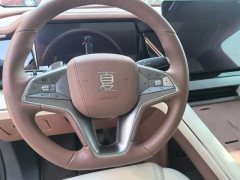 2025 BYD Xia 2025 DM-i 1.5T AT 100km Surpass #7