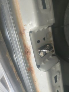 Rear Panel