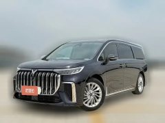 2022 Voyah Dreamer 2022 0carbonEdition Home 475km #1
