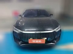 2023 BYD E9 2022 Business #4