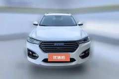 2018 Haval H6 2019 1.5T AT Blue LabelChampion #2