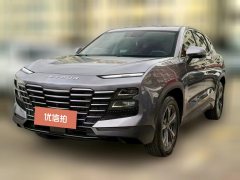 2024 Jetour Dasheng 2024 1.5T AT DCT star shinePRO #1