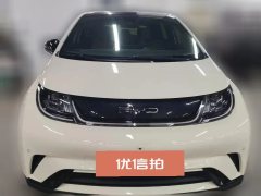 2023 BYD Dolphin 2024 Glory 302km vitalityEdition #5