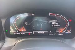 2021 BMW 3 Series 2021 2.0T AT Facelift 325Li MM Sport Shadow #14