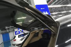 Trunk Lid Struts