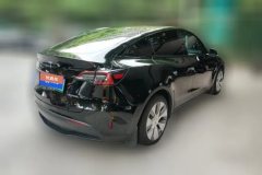 2021 Tesla Model Y 2021StandardBattery lifeRWDEdition #3