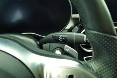 2021 Mercedes-Benz C-Class 2021 1.5T AT C260star shineCollector #16
