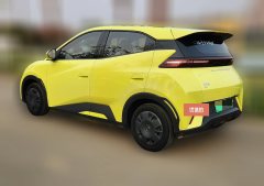 2023 BYD Seagull 2024 Glory 305KM freeEdition #4