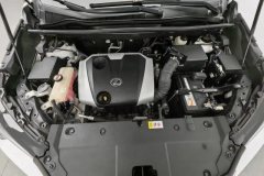 2017 Lexus NX 2016 2.0 AT 200specialLimitedFWD (Imported) #7