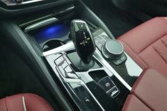 2022 BMW 5 Series 2022 2.0T AT 530Li M Sport Pkg4WD #17