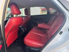 2021 Lexus NX 2020 2.0 AT 200Feng XingEditionFWD China VI (Imported) #5