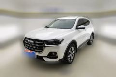 2021 Haval H6 2021 1.5T AT China tideChampion #1