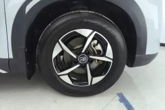 2025 BYD Yuan UP 2024 401KM Leading #6