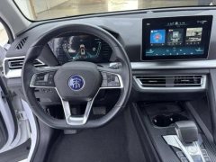 2021 BYD Song Pro 2019 1.5T AT Luxury #11