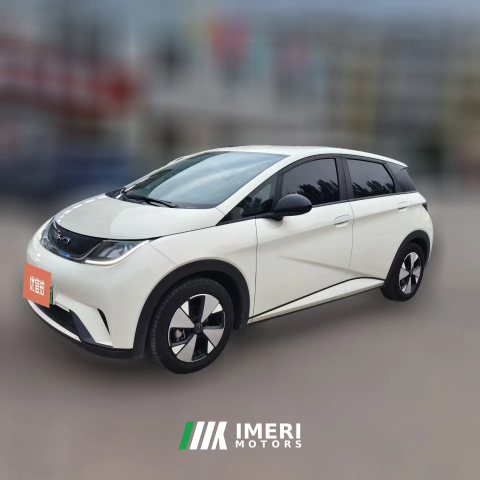 2024 BYD Dolphin 2023 420km freeEdition