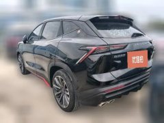 2023 Jetour Dasheng 2022 1.6T AT DCTkingPLUS #4