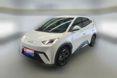 2025 BYD Seagull 2025 305km freeEdition #1